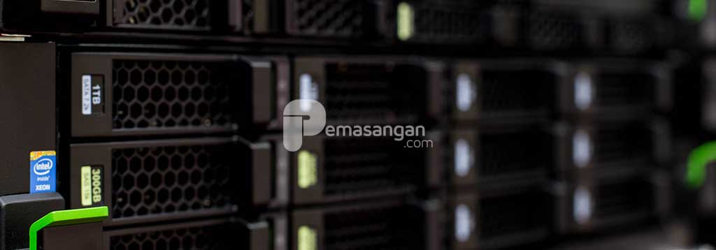 sewa server